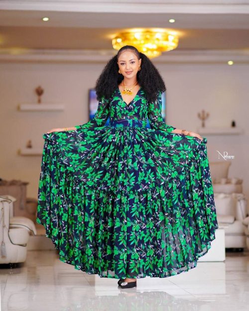 Elegantly Crafted Green and Dark Blue Chiffon